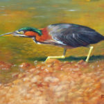 Featured Artwork: Julie Gowing Hayes