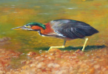 Featured Artwork: Julie Gowing Hayes