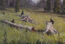 Featured Artwork: Kathy Wipfler presented by the National Museum of Wildlife Art