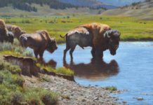 Realistic Paintings of North America’s Wildlife Wildlife paintings - Kyle Sims - FineArtConnoisseur.com
