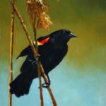 From Environmental Scientist to Professional Artist Wildlife paintings - Lori White - FineArtConnoisseur.com