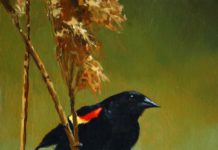 From Environmental Scientist to Professional Artist Wildlife paintings - Lori White - FineArtConnoisseur.com