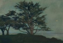 Coastal Landscapes: East, West, and the Tropics