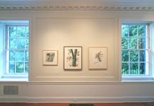 Botanical Art on View: 21st Annual International Botanical art