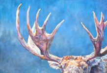 A Relentless Pursuit Wildlife paintings - FineArtConnoisseur.com