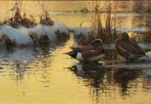 Featured Artwork: Lars Jonsson presented by the National Museum of Wildlife Art