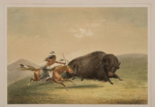 New Addition at the Briscoe Western art
