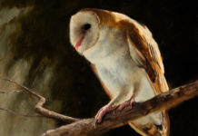 May 3: Governor’s Art Show & Sale Art shows and auctions - FineArtConnoisseur.com