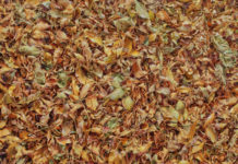 Artist Spotlight: Painting the Ordinary Contemporary oil paintings - Dianne Massey Dunbar - FineArtConnoisseur.com