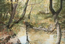 Featured Artwork: Susan DeVan