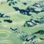 One Artist, Five Oceans
