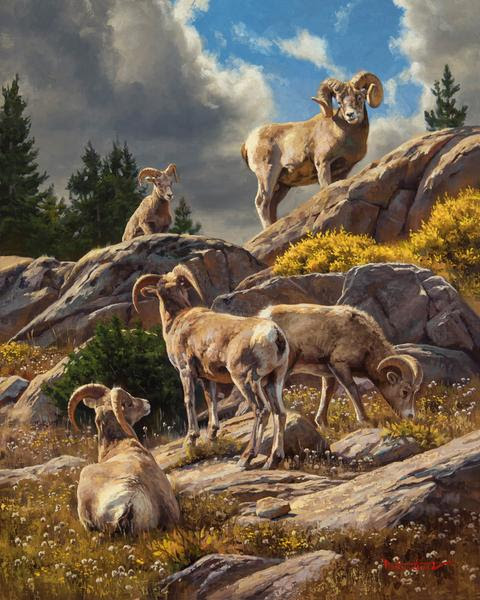 Wildlife oil paintings - Dustin Van Wechel - FineArtConnoisseur.com