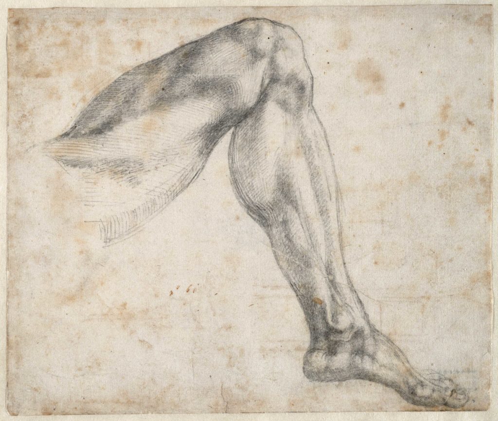 Michelangelo drawings