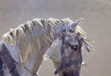 38th Annual Buffalo Bill Art Show Results