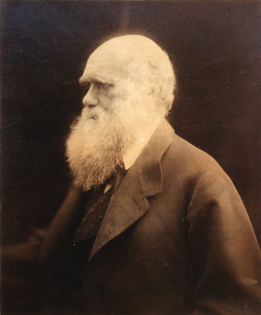 Julia Margaret Cameron (1815 – 1879), “Portrait of Charles Darwin,” albumen print
