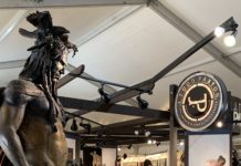 30th Annual Celebration of Fine Art