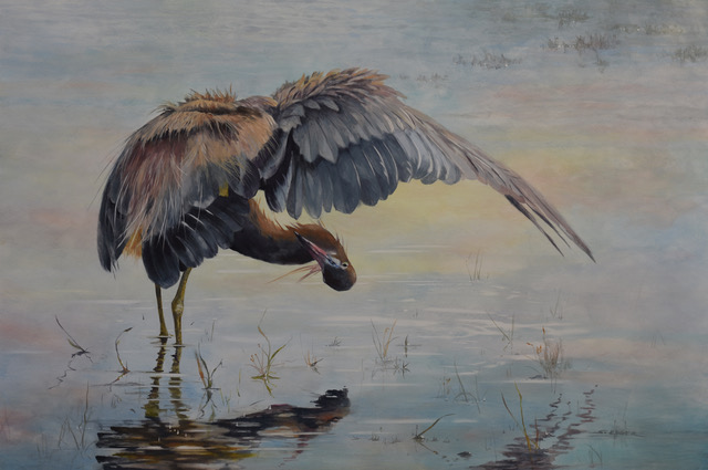 Sherry Egger, "Fishing Reddish Egret," 24 x 36 in.
