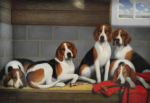 The Royal Breeds Art collecting - dog portraits