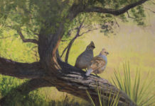Night of Artists Sale: Going Online William Alther, "Balcones Respite," oil, 24 x 28 in., $6,500