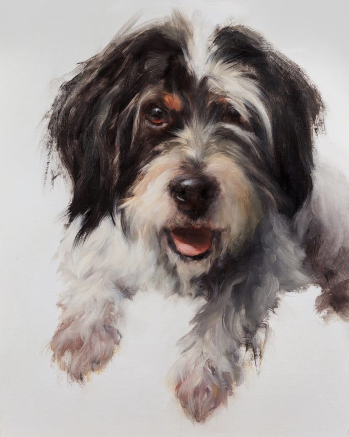 The Fine Art of Painting Dog Portraits.