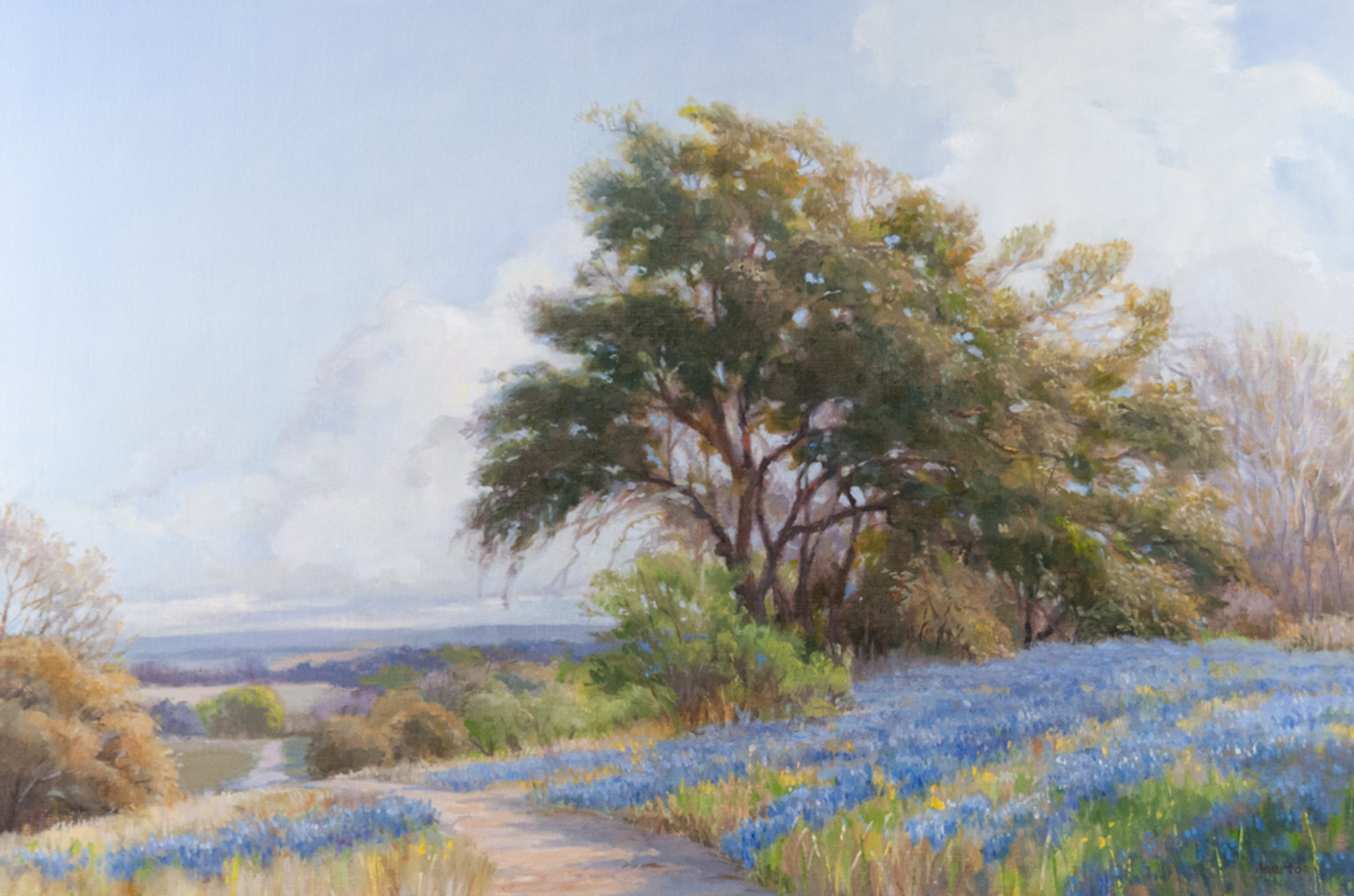 Lone Star State by Mallory Agerton, Oil, 24 x 36.; Gallery 330
