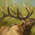 Featured Artwork: Kathryn Ashcroft