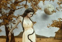 Gallery Spotlight: Arcadia Contemporary Contemporary art - Arcadia Gallery - FineArtConnoisseur.com