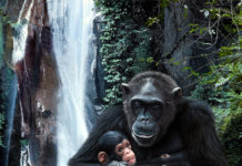 Bruce K. Lawes: Driven With a Purpose