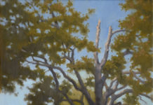 Featured Artwork: Todd Baxter
