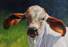 Featured Artwork: Addren Doss