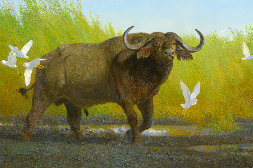 Wildlife paintings