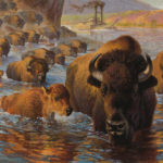 Featured Artwork: Ezra Tucker