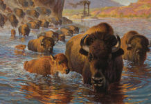 Featured Artwork: Ezra Tucker