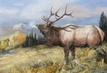 Featured Artwork: Trevor Swanson presented by the Celebration of Fine Art