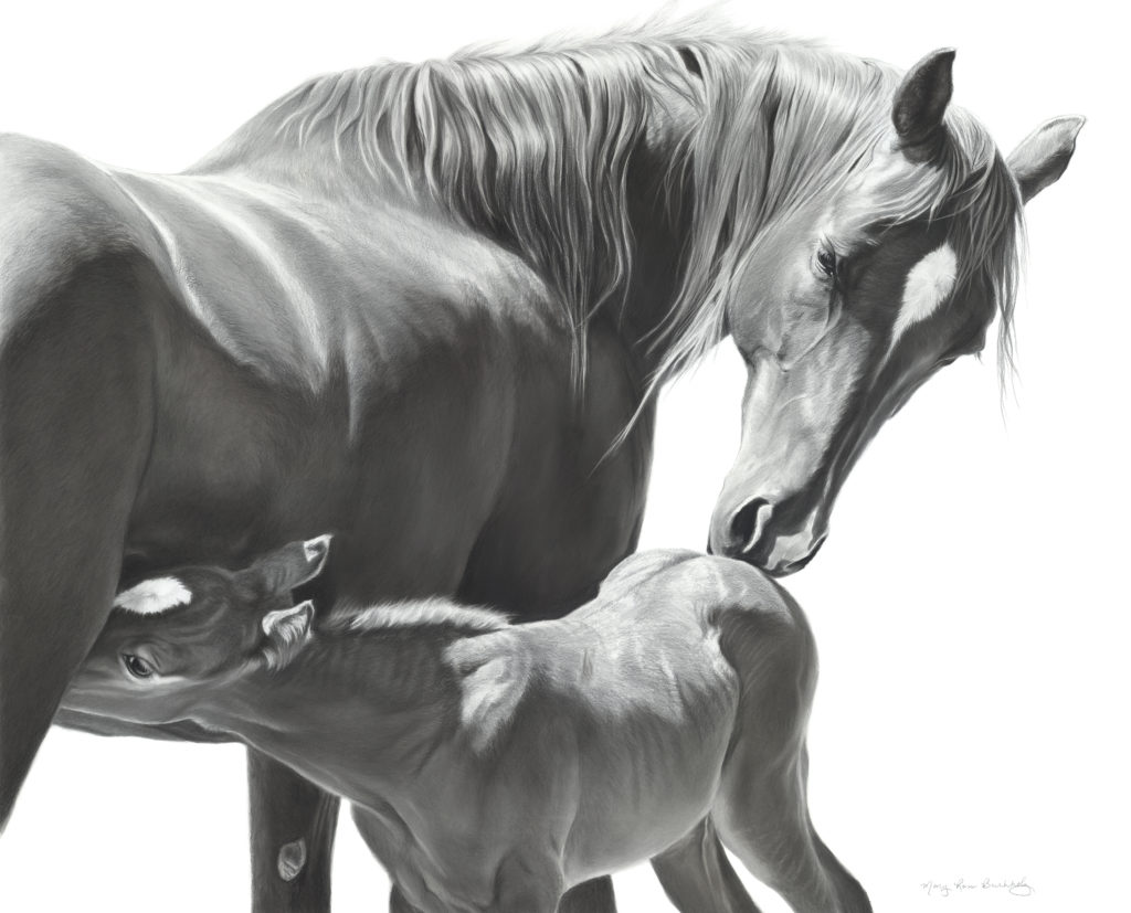 Realistic drawing of horses