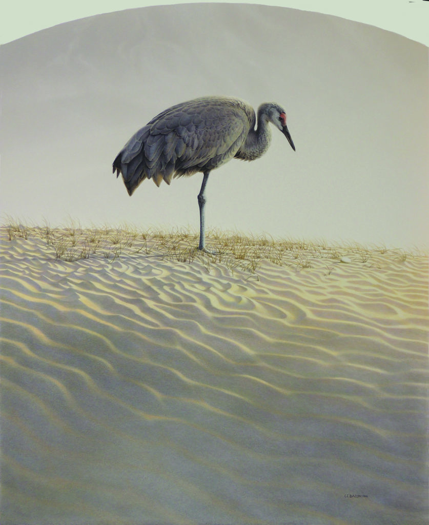 Watercolor painting of a sandhill crane