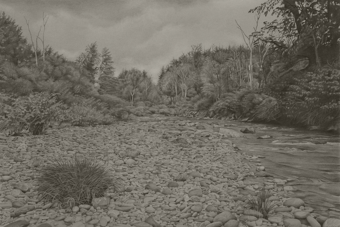 Graphite drawing of a riverbank