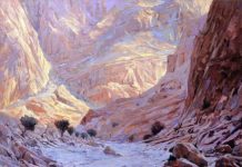 Collector’s Corner: 10 Winning Oil Landscapes Plein Air Salon landscapes -