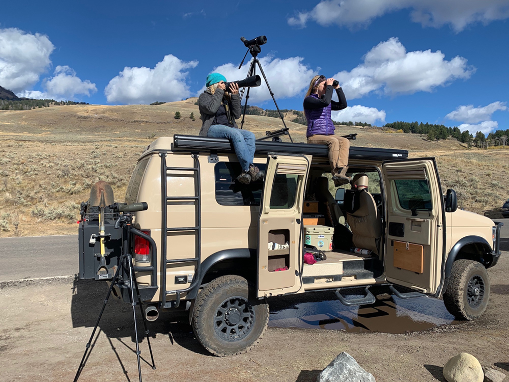 Two women viewing wildlife in Yellowstone from the top of a Jeep