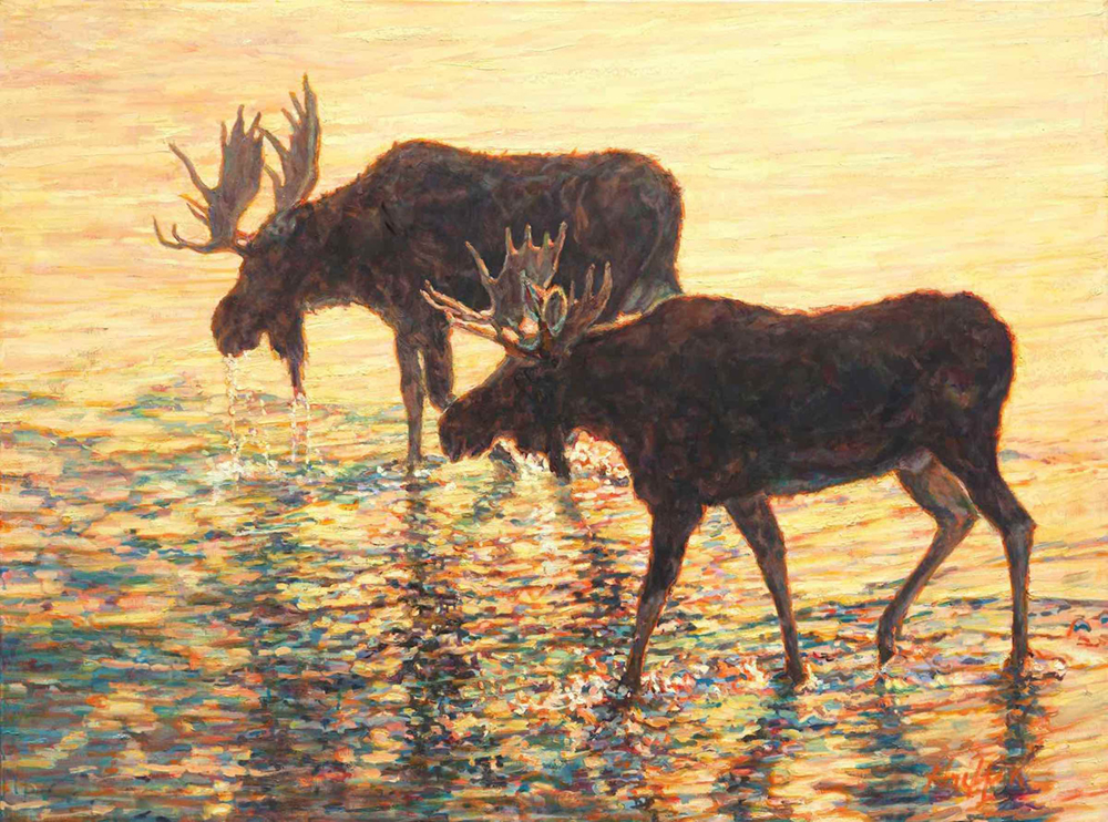 Oil painting of 2 moose bulls in the water
