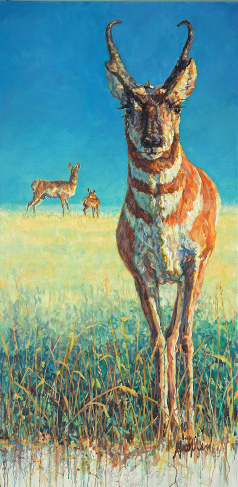 Oil painting of pronghorn antelope