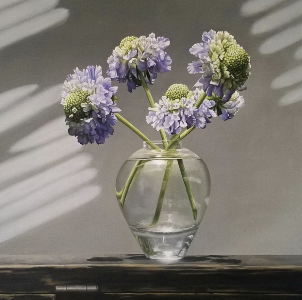 Oil painting of scabiosa flowers in a clear vase