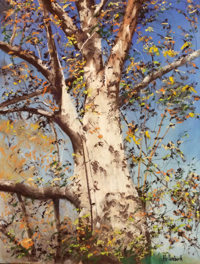 Pastel painting of a huge tree looking up the trunk