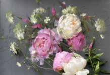 Catching Color Nuances – in Pastel Pastel floral painting by Vera Kavura