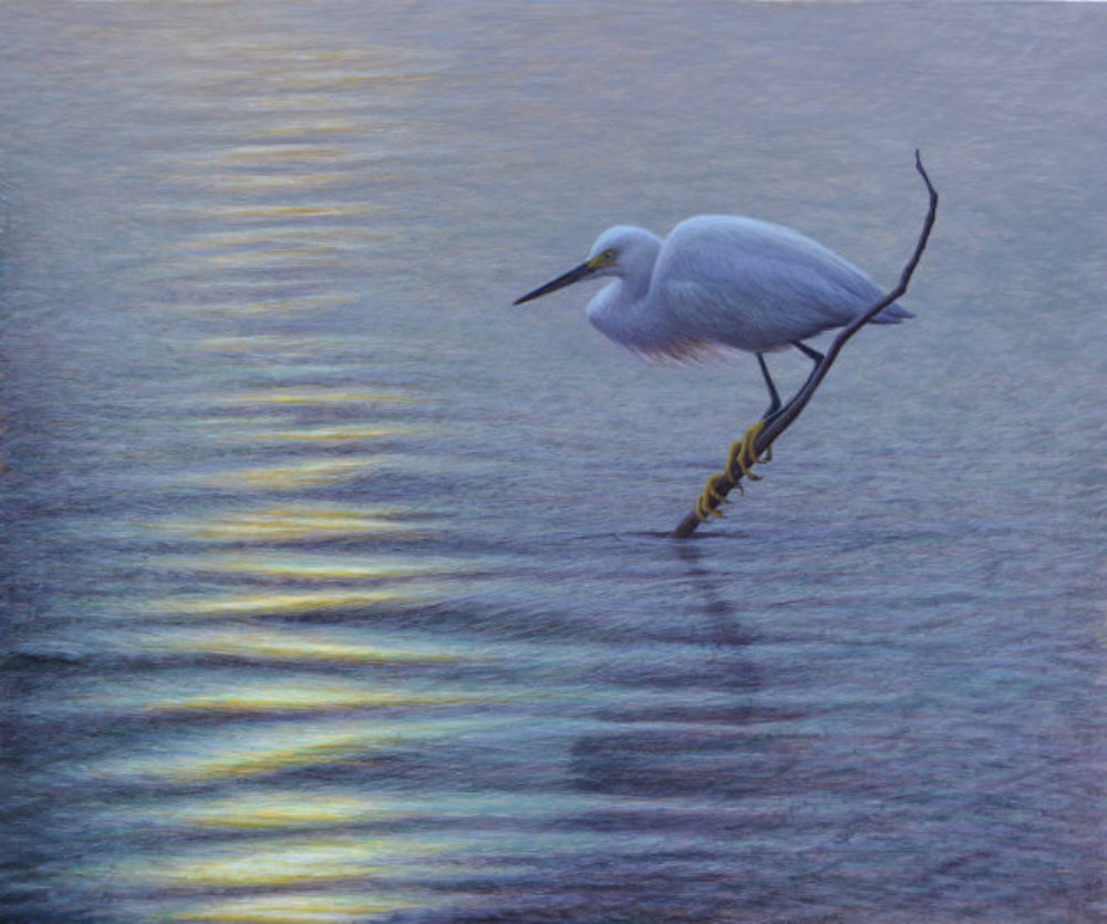 Egg tempera painting of an egret perched on a stick in the water