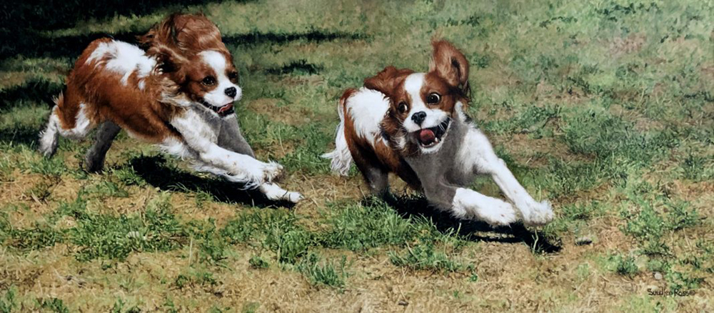Oil painting of Cavalier King Charles Spaniels running in the grass 