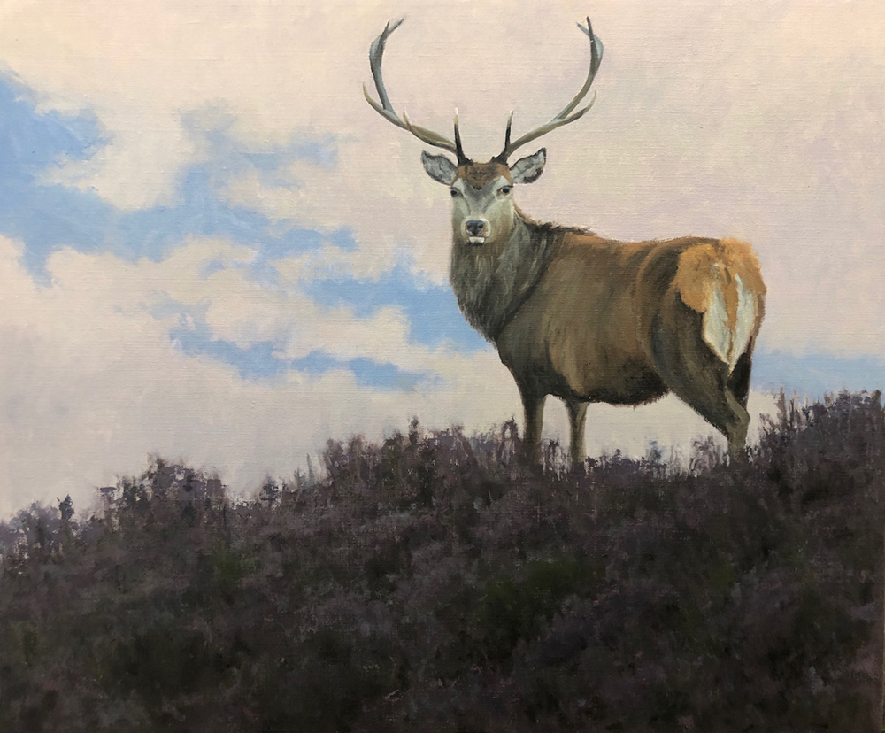 Oil painting of red stag