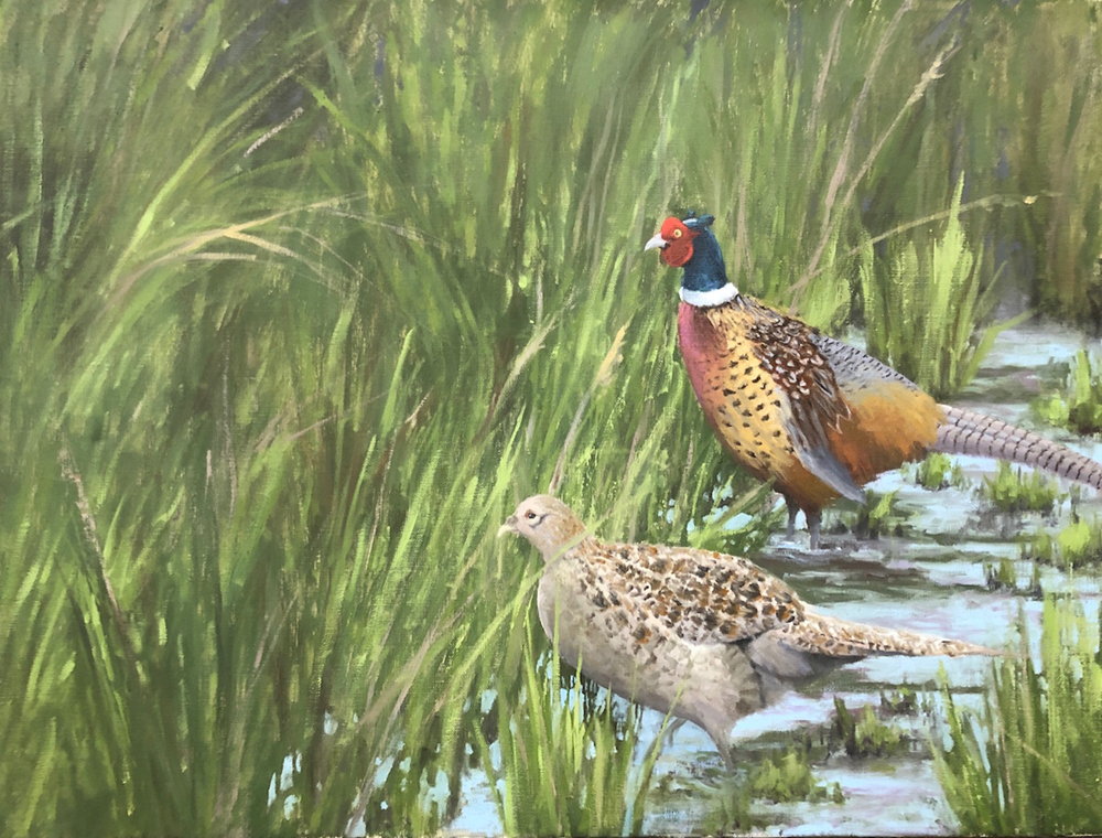 Oil painting of pheasants