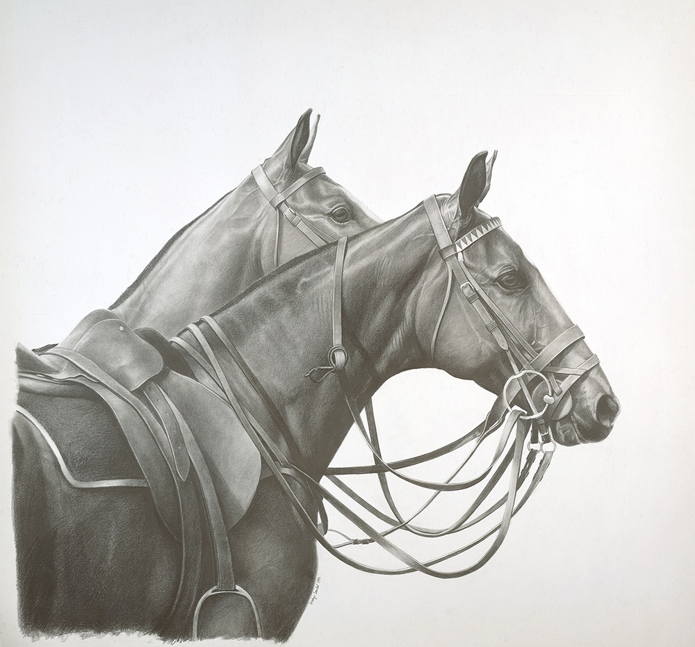 Pencil drawing of two horses
