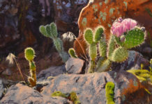 Featured Artwork: Mitch Caster Oil painting of prickly pear cactus with pink blooms